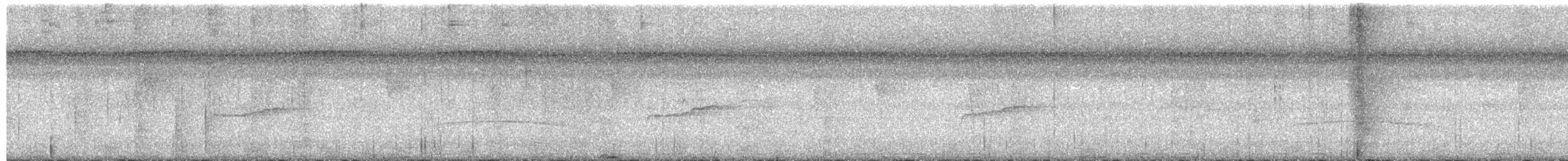 Піві лісовий - ML651182860