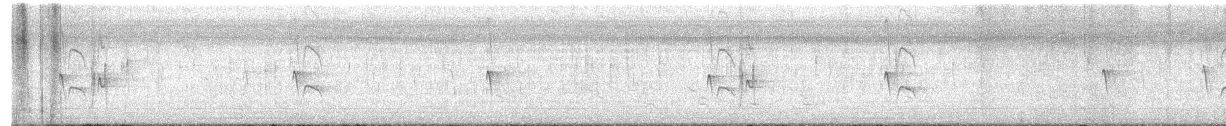 Светлобрюхий фиби - ML651184231