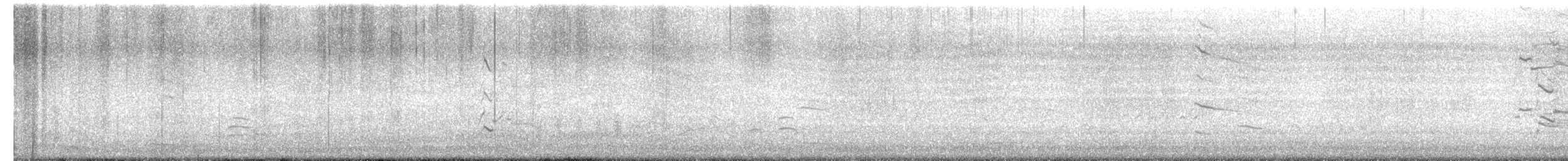 Делавэрская чайка - ML651185135