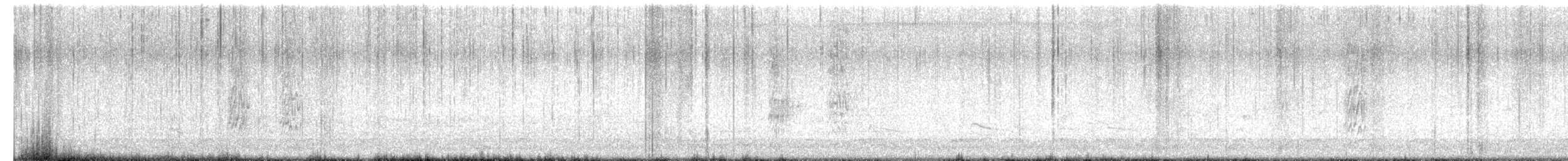 Попугай-монах - ML651185234