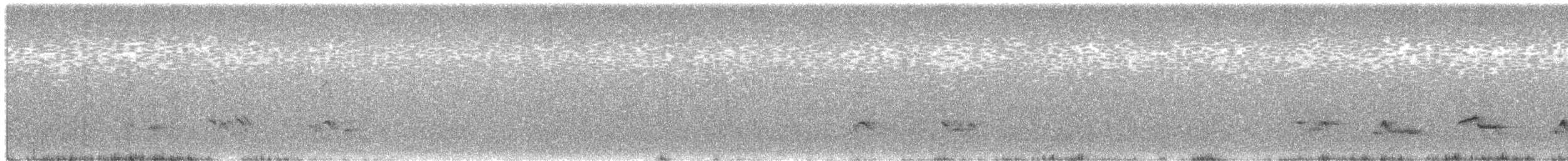 American Robin - ML651186764