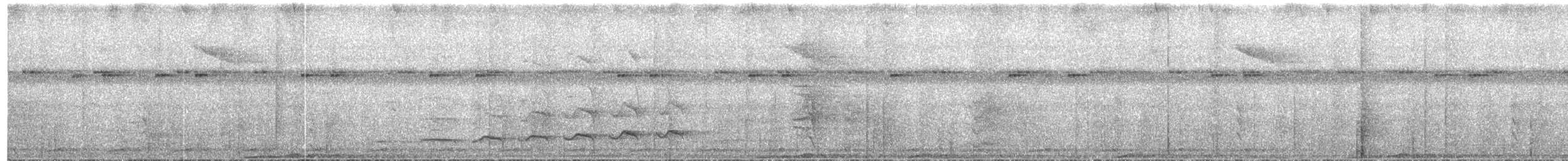 Black-capped Paradise-Kingfisher - ML651187342