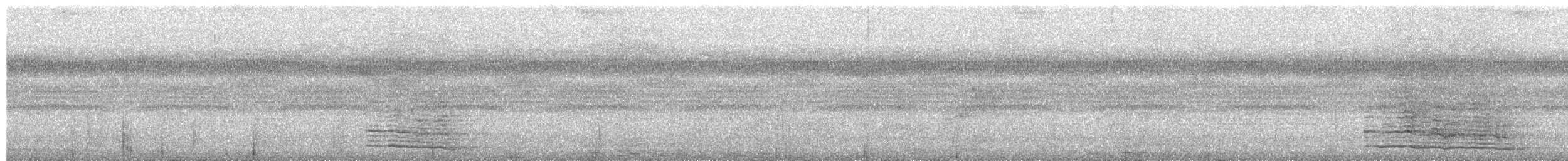 Purple-bellied Lory - ML651187360