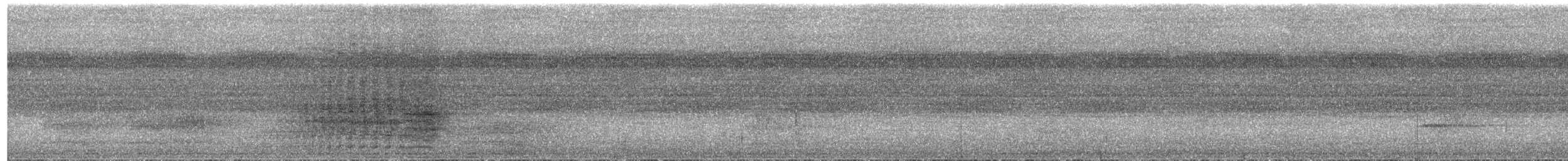 Spangled Drongo - ML651187362