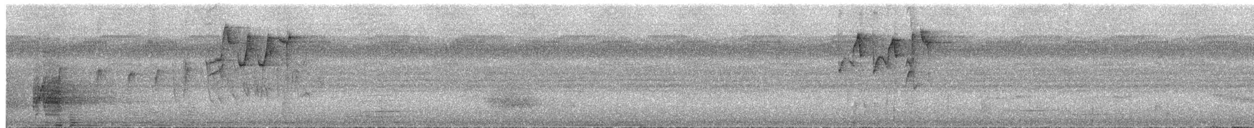 Sahul Sunbird - ML651187403