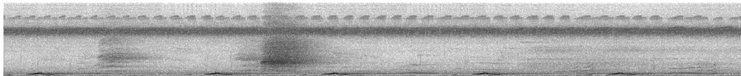 Violaceous Coucal - ML651187408