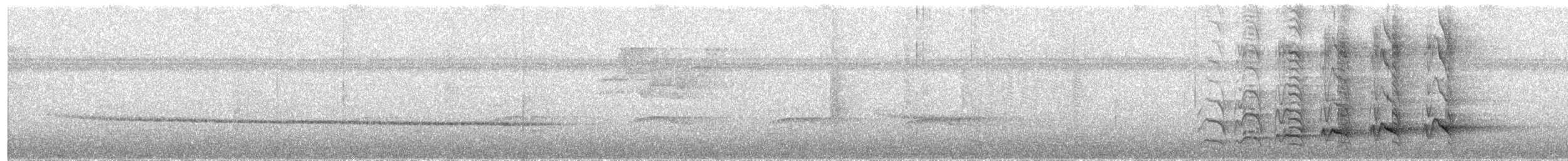 Black-capped Paradise-Kingfisher - ML651187411