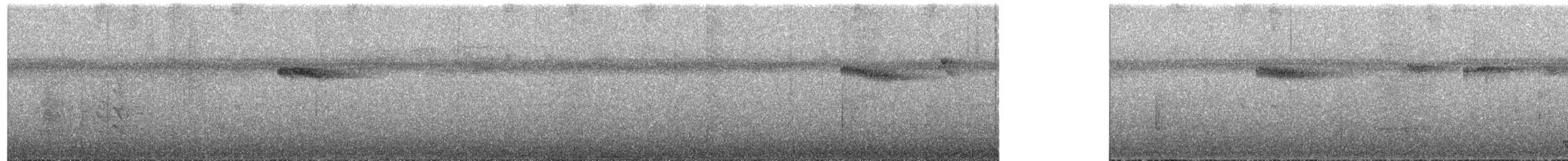 New Britain Dwarf-Kingfisher - ML651187417