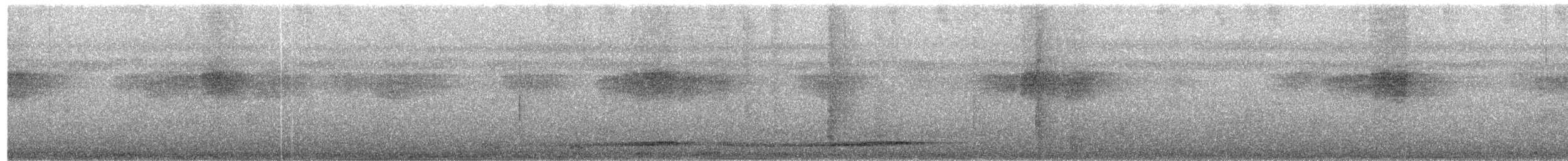 Bismarck Pitta (New Britain) - ML651187645