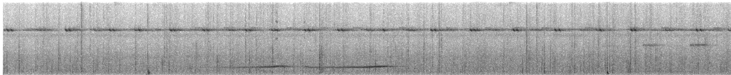 Bismarck Pitta (New Britain) - ML651187646