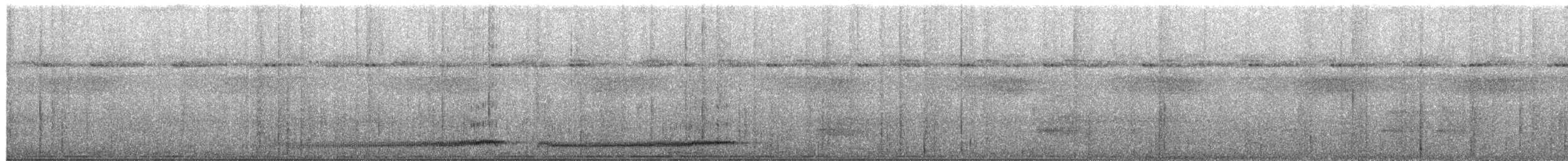 Bismarck Pitta (New Britain) - ML651187647