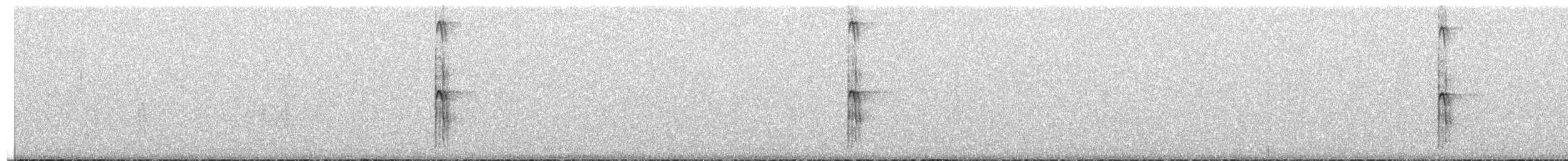 Hairy Woodpecker - ML651188752