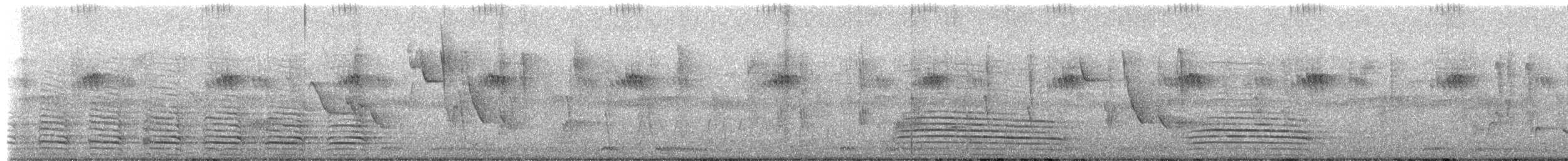 Trumpeter Hornbill - ML651188756