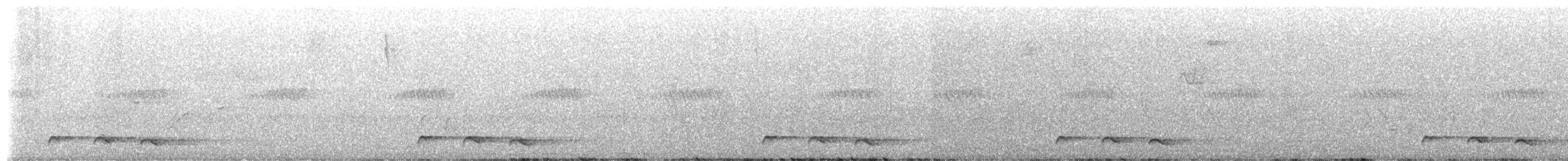 Red-chested Cuckoo - ML651188882