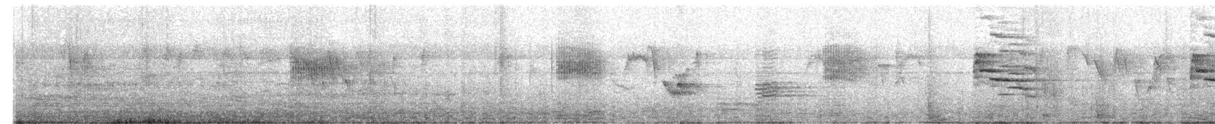 Indian Gray Hornbill - ML651188967