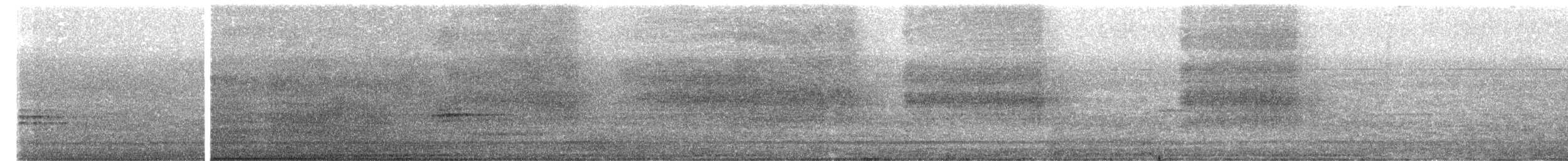 Eastern Barn Owl - ML651189078