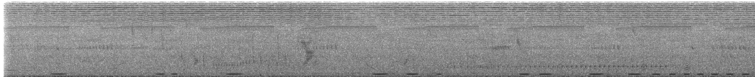 Tambourine Dove - ML651189166