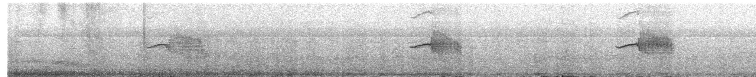 Oriental Magpie-Robin - ML651189401