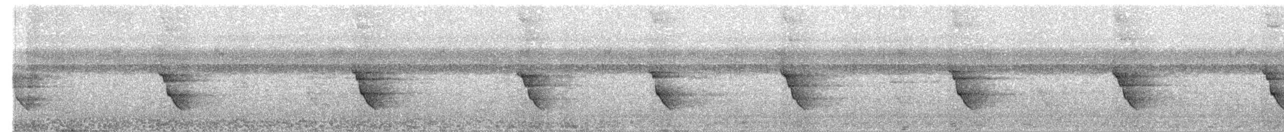 Andaman Drongo - ML651189470