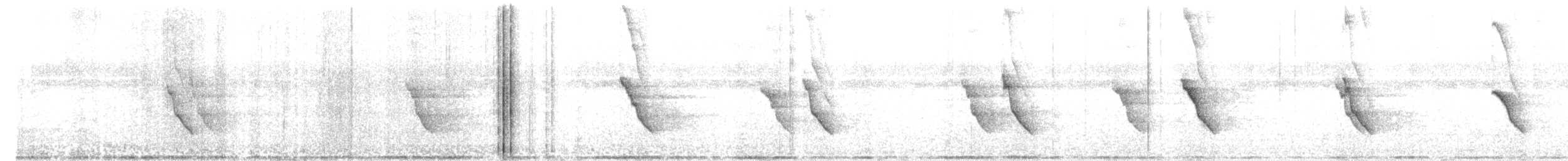 Andaman Drongo - ML651189471