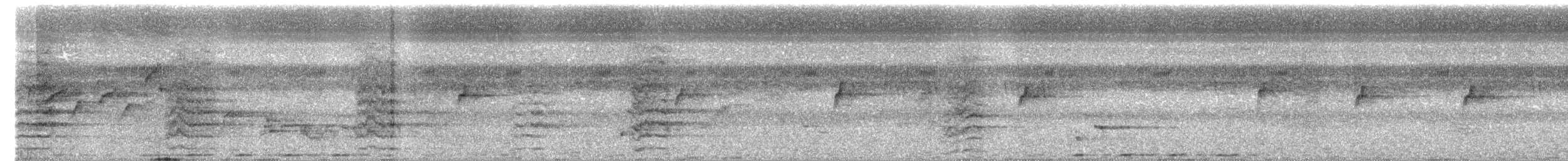 Long-tailed Parakeet - ML651189535