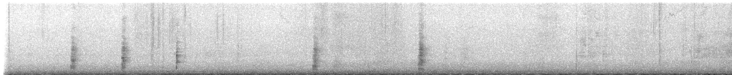 faeton pruhokřídlý - ML651192305