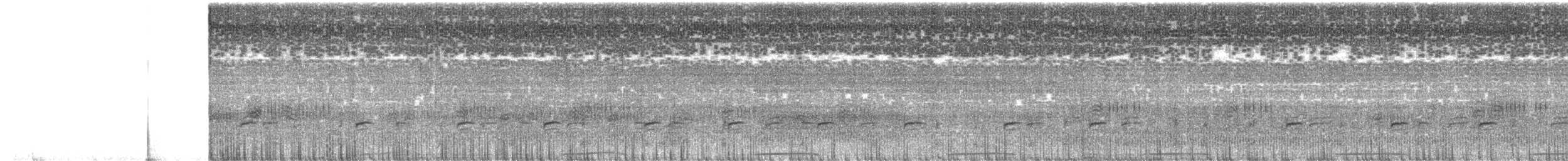 Streaky-breasted Flufftail - ML651192632