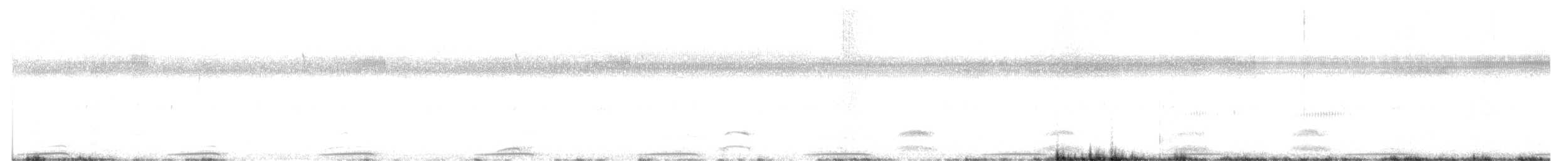 Streaky-breasted Flufftail - ML651192637