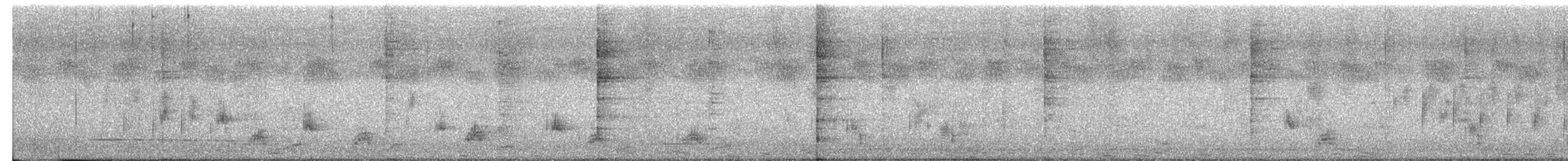 Кубла строката - ML651197491