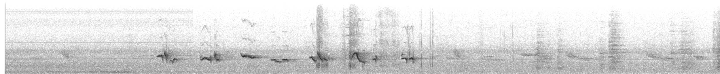 American Robin - ML651204176