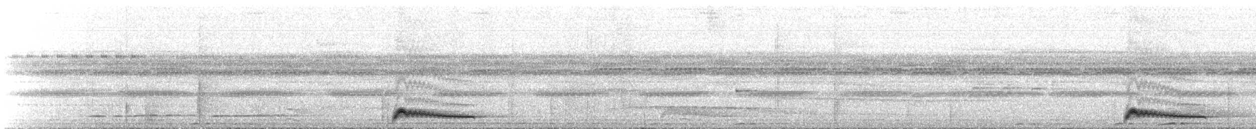 Augennachtschwalbe - ML65120891