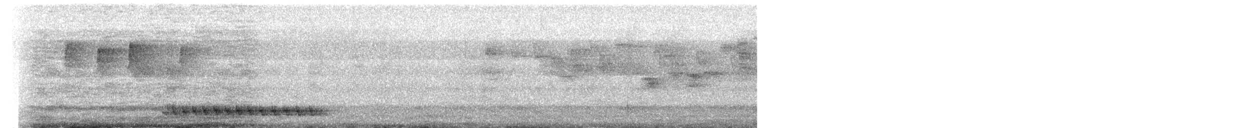 Lance-tailed Manakin - ML651212654