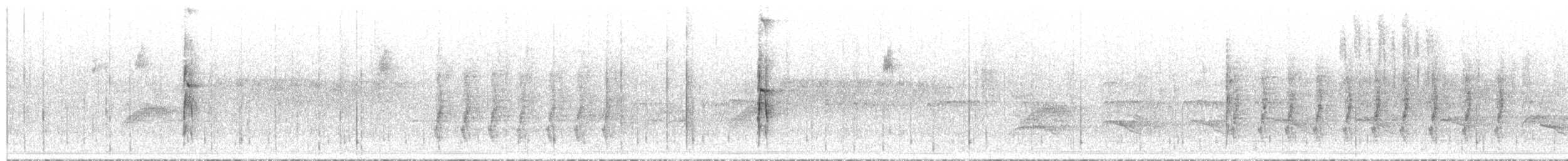 Hairy Woodpecker - ML651220544