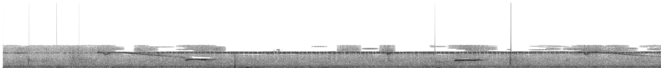 Great Eared-Nightjar - ML651222682