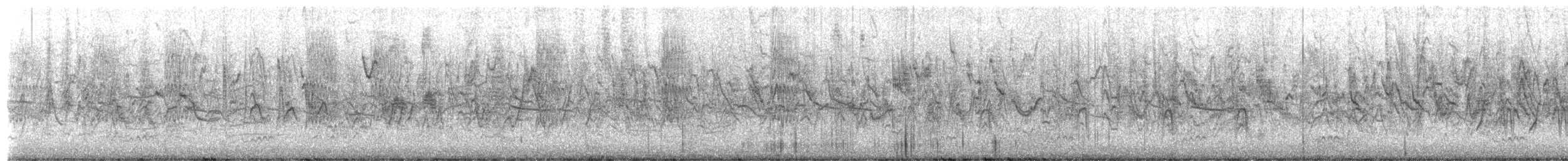 Mexikozeisig - ML651227843