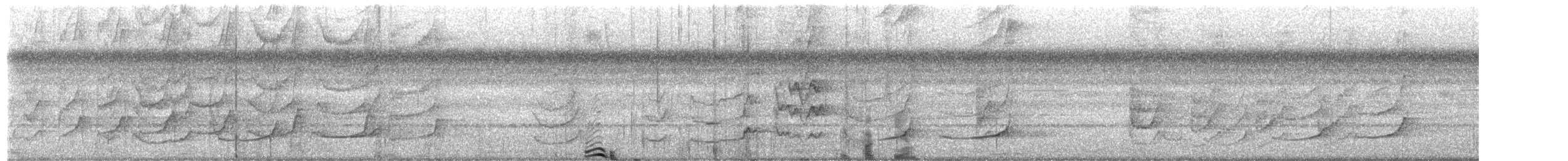 Northern Barred-Woodcreeper - ML651239197