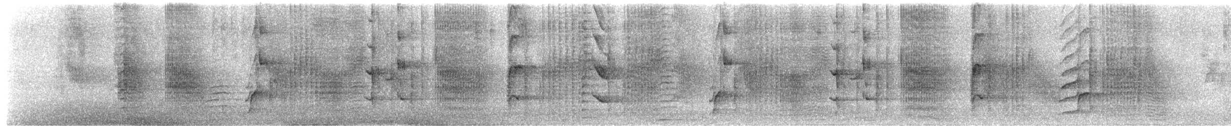 Cliff Swallow - ML651239466