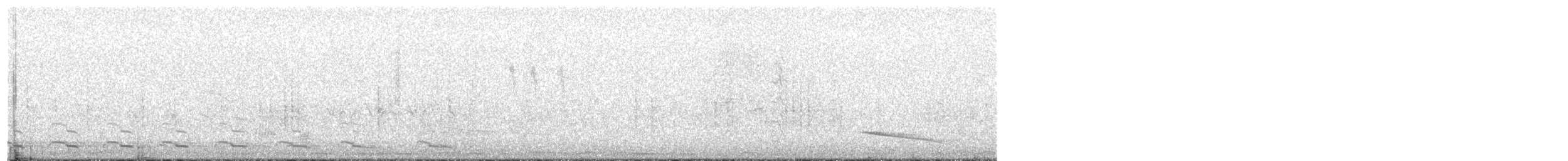 Yellow-legged Gull (atlantis) - ML651239471