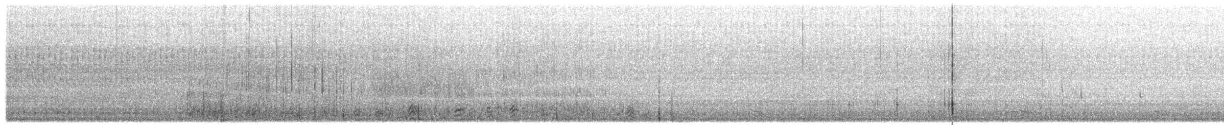 Bufflehead - ML651241373