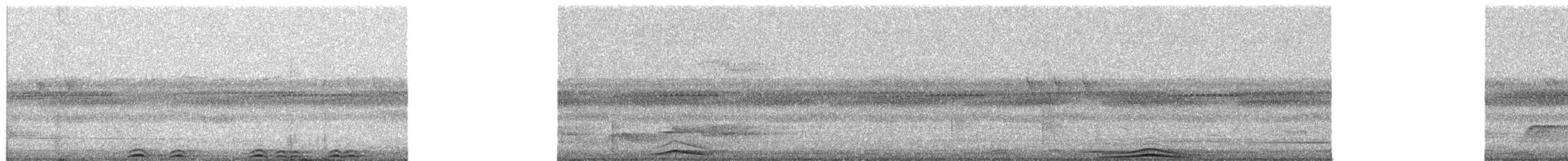 African Wood-Owl - ML651254839