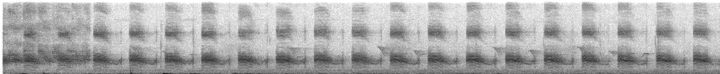 Arrow-marked Babbler - ML651256031