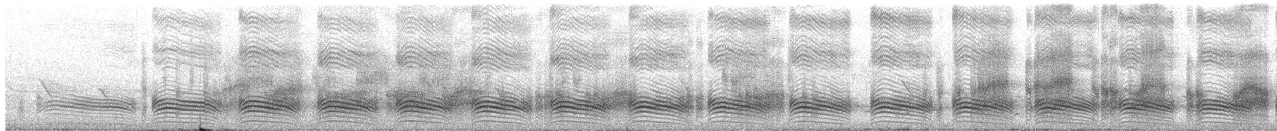 Arrow-marked Babbler - ML651256032