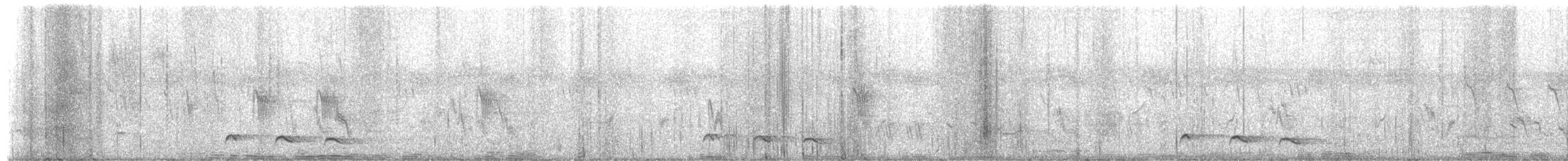 Red-chested Cuckoo - ML651260523