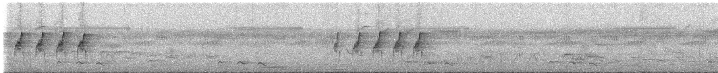 Red-chested Cuckoo - ML651260538