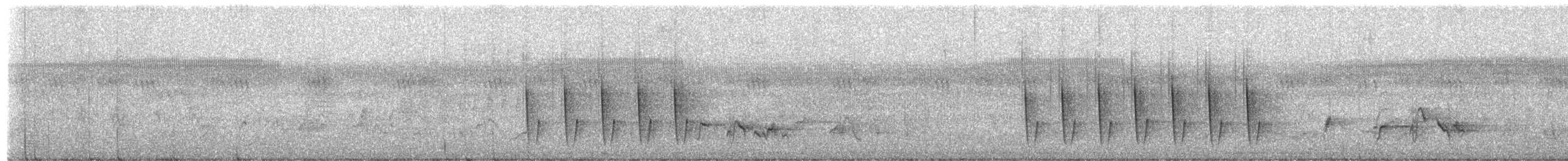 Green-backed Camaroptera (Gray-backed) - ML651260587