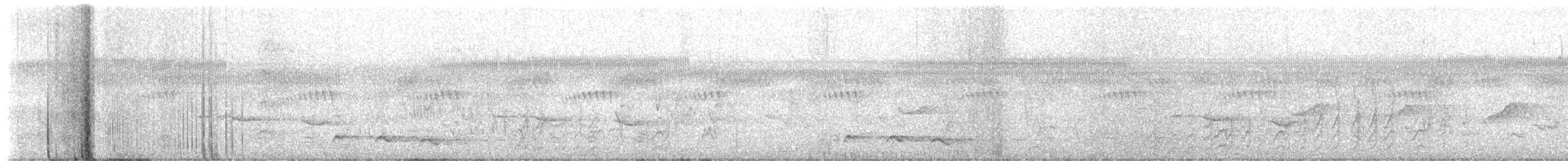 Black-collared Barbet - ML651260632