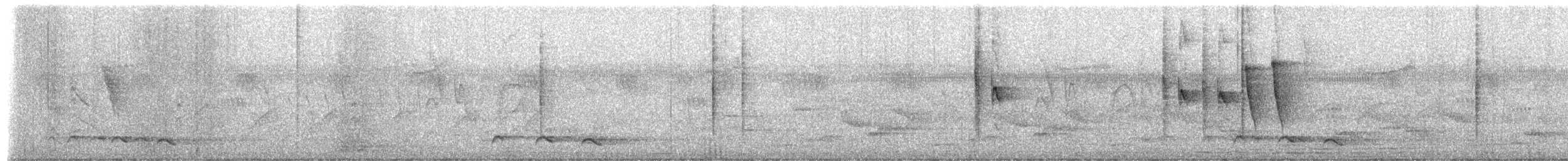 Red-chested Cuckoo - ML651260654