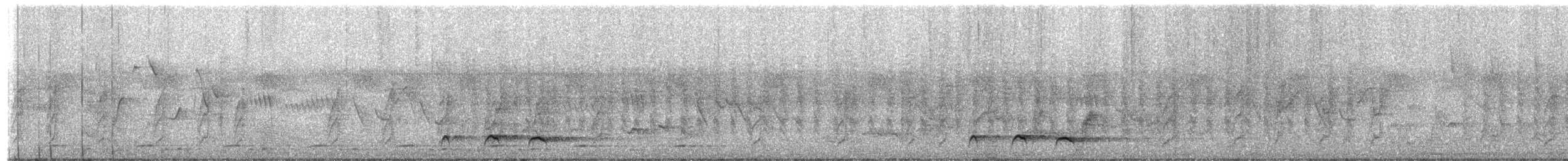 Red-chested Cuckoo - ML651260673