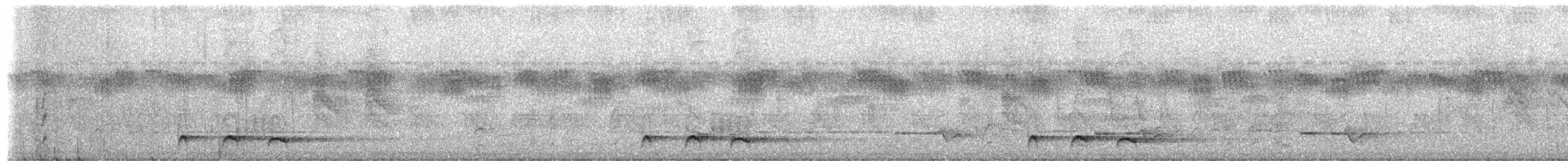 Red-chested Cuckoo - ML651260677