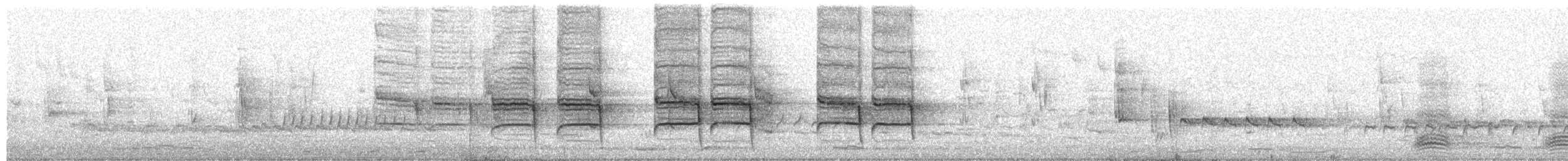 Magpie-lark - ML651262088